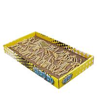 Barkbutler Fofos Krabpaal voor katten, bruin voor kleine kittens en oudere katten, met extra touwen, kattenkruidpoeder in Amerikaanse kwaliteit, stevig karton