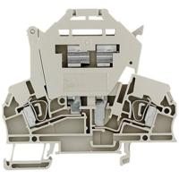 Weidmüller Sicherungs-Reihenklemmen - ZSI beige G20 ZSI 2.5/LD 28AC 1616440000-1 Beige 1 pc(s)