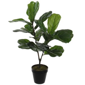 Groene ficus Lyrata kunstplant 75 cm voor binnen