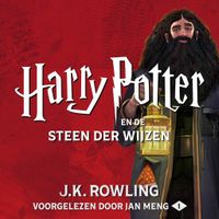 Harry Potter en de Steen der Wijzen - thumbnail