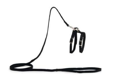 Beeztees - kattentuigje - nylon - zwart - 130 cm x 10 mm Beeztees - kattentuigje - nylon - zwart - 130 cm x 10 mm