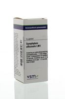 Symphytum officinale LM1 - thumbnail