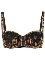 Dolce & Gabbana soutien-gorge à motif léopard - Marron