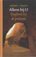 Alleen bij U - Andre Troost - ebook