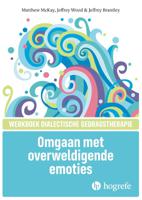 Omgaan met overweldigende emoties (Paperback) - thumbnail