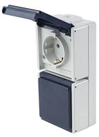 as - Schwabe Aufputz Steckdose 2-fach, senkrecht, mit 2 Leitungseinführungen, IP 54 Aussenbereich, grau, 62462