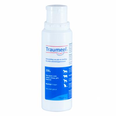 Traumeel Gel 250g Gezondheid Paard