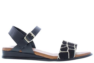 Red Rag 79372 999 black combi multi zwart 