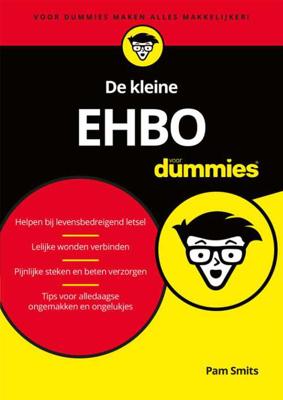 De kleine EHBO voor Dummies - Pam Smits - Paperback (9789045355559) De kleine EHBO voor Dummies - Pam Smits - Paperback (9789045355559)