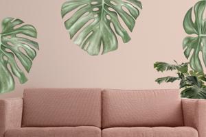 Muursticker - Monstera Bladeren / Salie Groen