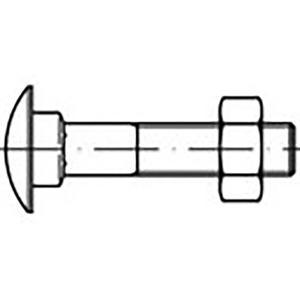 TOOLCRAFT TO-6855723 Platbolkopschroeven M16 190 mm DIN 603 Staal Verzinkt 25 stuk(s)