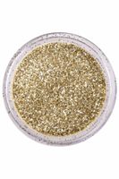 PXP biodegradable dutch silver powder glitter 2.5 gr.