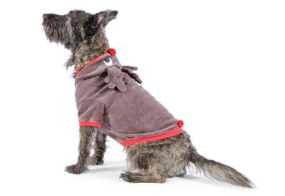 Hondenjas Rendier Hondenjas Rendier