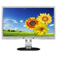 Philips 220p4l - 22 inch - 1680x1050 - DP - DVI - VGA - Zilver - thumbnail