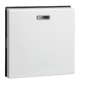 Schneider Electric 273614 accessoire elektrische schakelaar Sleutel