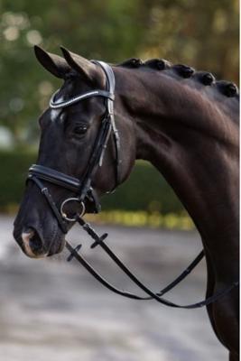 HB Hoofdstel Showtime Stars