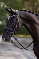 HB Hoofdstel Showtime Stars