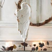 Engelenvleugels Angelo