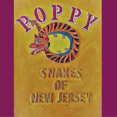 Snakes Of New Jersey - LP (0843563122815)