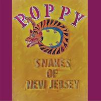 Snakes Of New Jersey - LP (0843563122815)