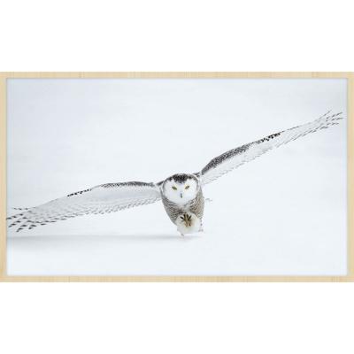 Wanddecoratie Bright Wings 008 118x70cm op forex met blanke lijst landelijk