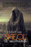 Sheol, de wachtkamer - Patrick Maes - eBook (9789493111332)