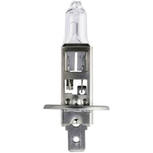 Philips Automotive 47516930 Halogeenlamp Vision H1 55 W 12 V