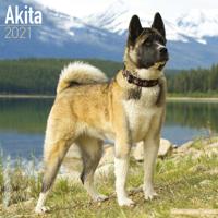 Akita Kalender 2021