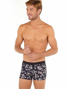 HOM - Boxer Briefs - Tambo -