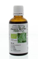 Natura Sanat Ribes nigrum / zwarte bes tinctuur bio (50 ml)