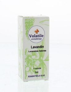 Lavandin