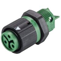 Wieland Electric 46.031.5055.7 Ronde connector Bus, inbouw Totaal aantal polen: 2 + PE Serie (ronde connectoren): RST® MINI 1 stuk(s)