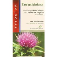 Carduus marianus