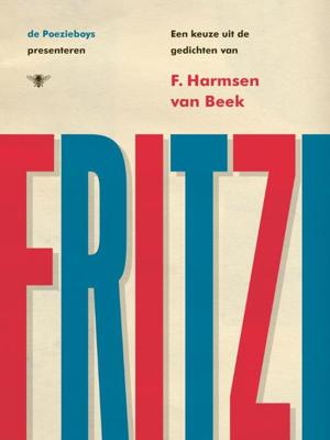 Fritzi - De Poezieboys - Paperback (9789403102917)