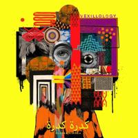 Vexillology - LP (4062548020656)