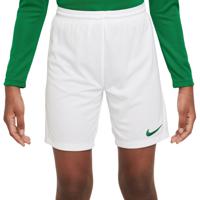 Nike Park III Voetbalbroekje Kids Wit Groen