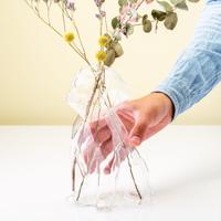 Hond Vaas - Transparant Groot