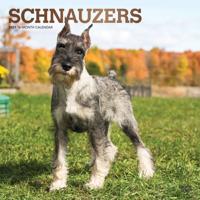 Schnauzer Kalender 2021