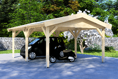 Carport 400x600 cm zadeldak- Zadeldak- - Van Kooten - Van Kooten