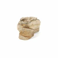 Ruwe Jaspis Landschap Edelsteen 3-7 cm Stukken (1 kg) - thumbnail