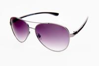 Kost zonnebril Pilot unisex paars/antraciet (20 178)
