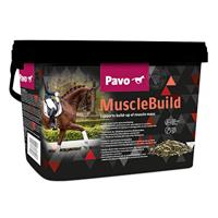 Pavo MuscleBuild - Maat ONESIZE