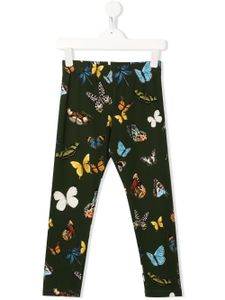 Dolce & Gabbana Kids legging en jersey à imprimé papillon - Vert