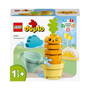 LEGO DUPLO 10981 Mijn eerste groeiende wortel