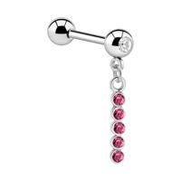 Jeweled Barbell with Charm Chirurgisch staal 316L / Belegde messing Barbells