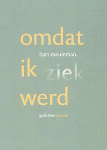 Omdat ik ziek werd - Bart Meuleman - ebook