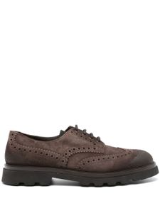 Doucal's chaussures oxford Sally en daim - Marron