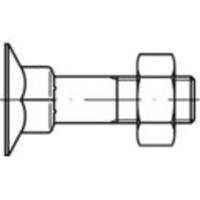 TOOLCRAFT 111750 Verzonken schroeven met vierkante hals M10 30 mm Buitenzeskant DIN 605 Staal 200 stuk(s) - thumbnail