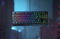 Razer Blackwidow V3 Tenkeyless toetsenbord USB QWERTY Amerikaans Engels Zwart