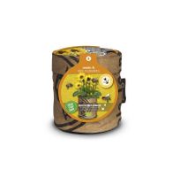 Baza seeds & bees-flowers mini zonnebloem